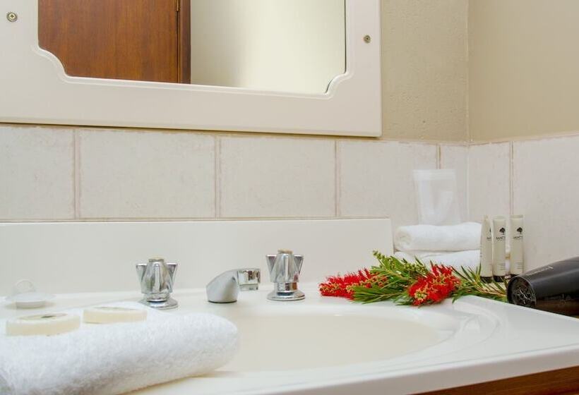 חדר סטנדרט, Aalbany Motel