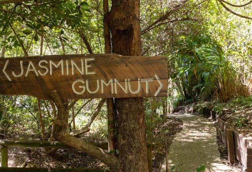 １ベッドルームハウス, Hunchy Hideaway