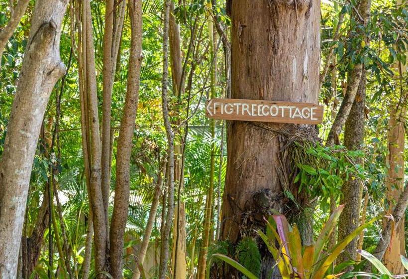 １ベッドルームハウス, Hunchy Hideaway