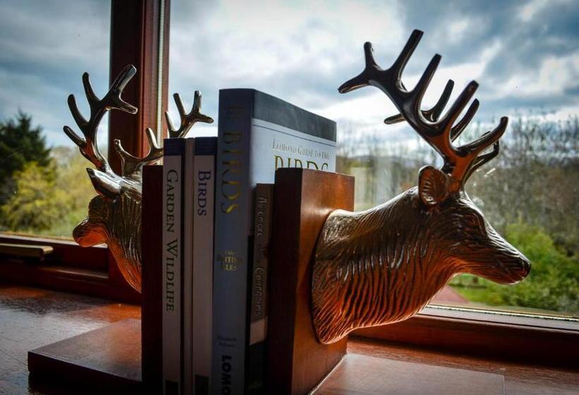 اتاق استاندارد, Ardlogie Guest House