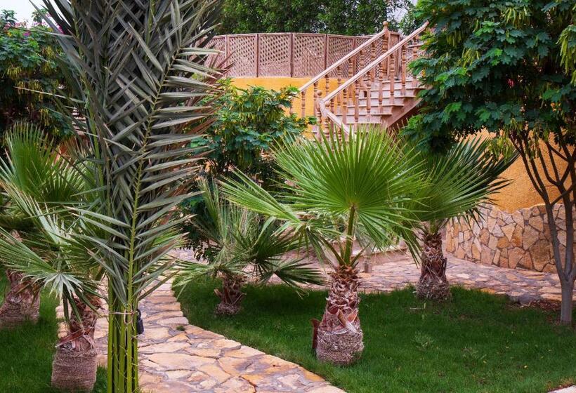 Quarto Estandar, Dive Urge