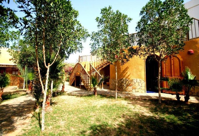 Quarto Estandar, Dive Urge