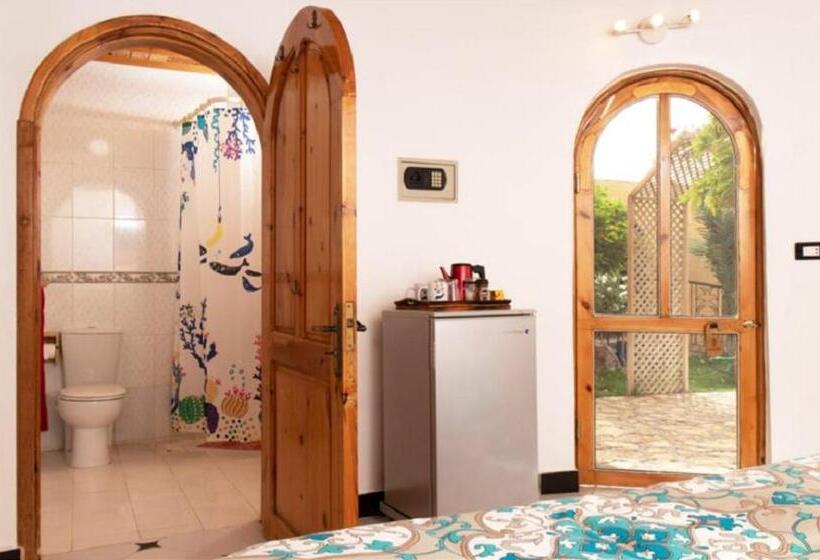 Quarto Estandar, Dive Urge