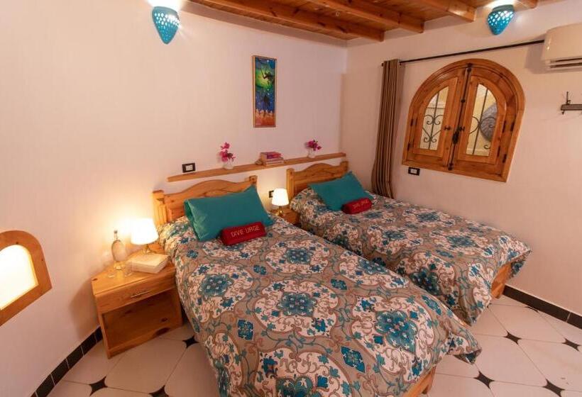 Quarto Estandar, Dive Urge