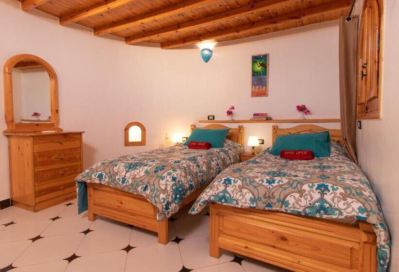 Quarto Estandar, Dive Urge