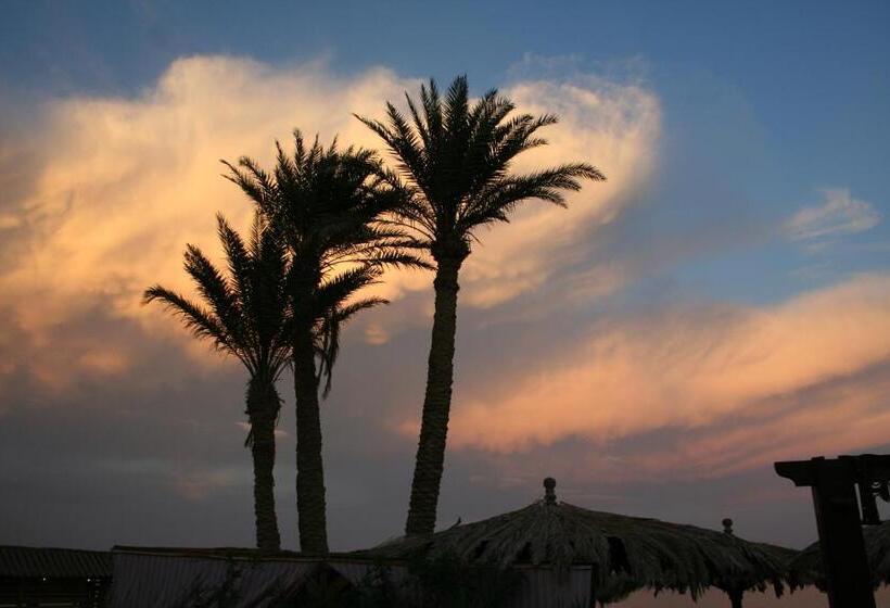 Quarto Estandar Vista Mar, Dive Urge