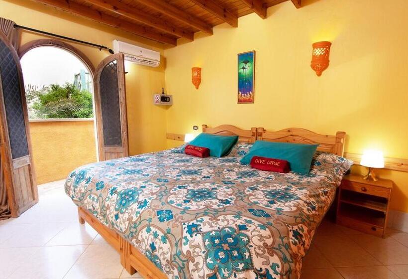 Quarto Estandar Vista Mar, Dive Urge