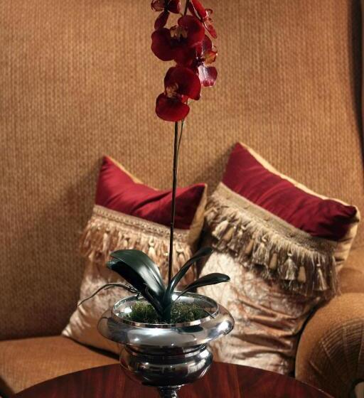 סוויטת ג'וניור, Fusion Boutique