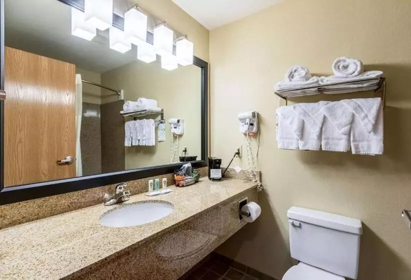 ２ダブルベッドのスタンダードルーム, Quality Inn Killeen Near Fort Cavazos