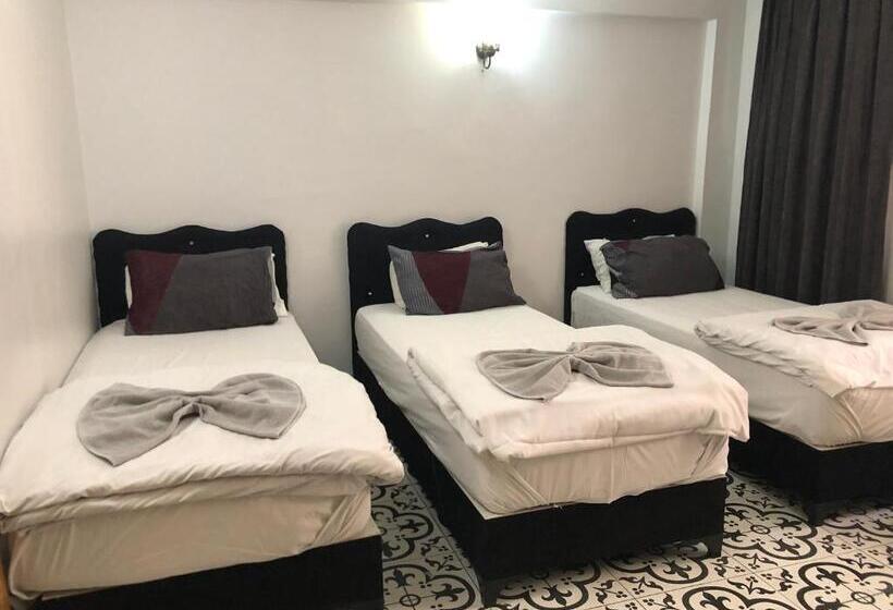 اتاق استاندارد سه نفره, Reydel