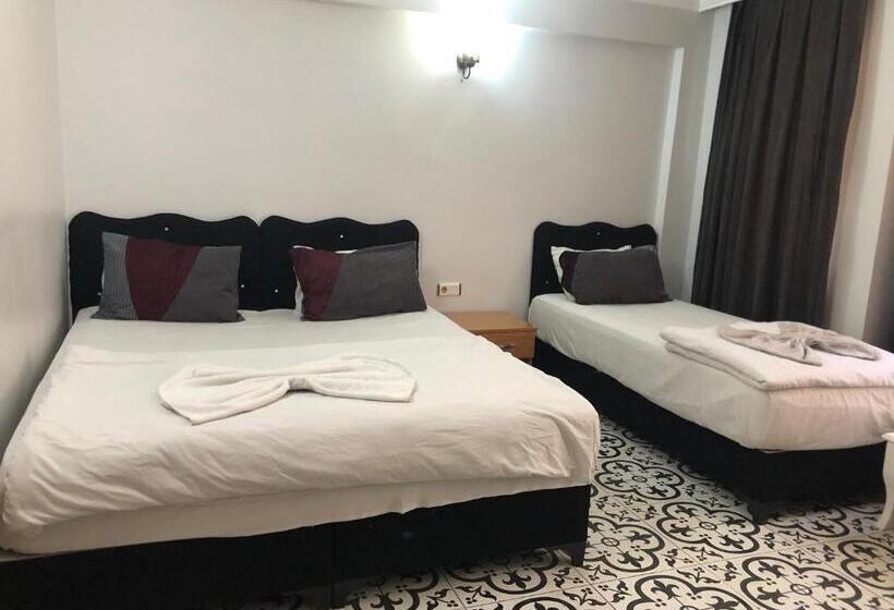 اتاق استاندارد سه نفره, Reydel