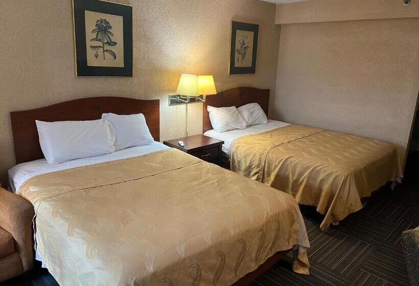 חדר סטנדרט שתי מיטות זוגיות, The Lodge Hotel And Banquets