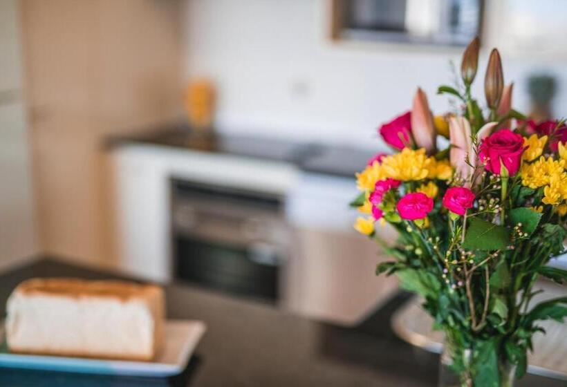 شقة غرفتين مطلة على البحر, Atlantis Marcoola