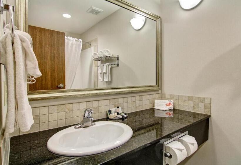 غرفة قياسية سرير كينج, Coast Weyburn