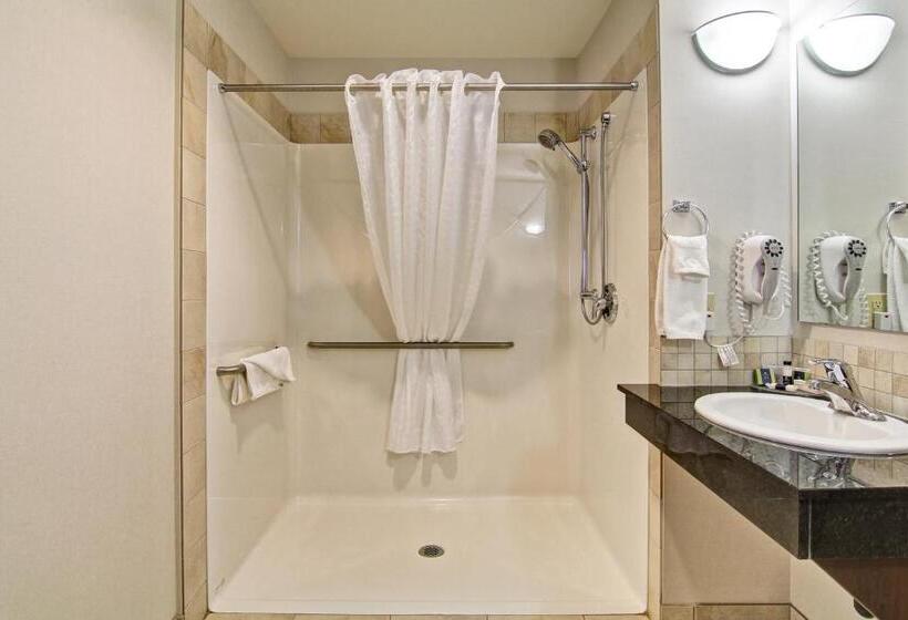 غرفة قياسية سرير كينج لذوى الإحتياجات الخاصة, Coast Weyburn