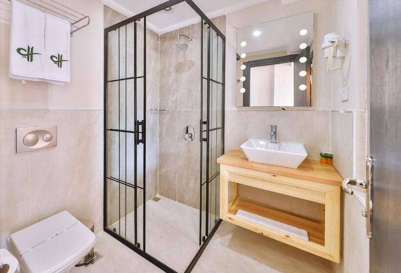 חדר סטנדרט, Cinar