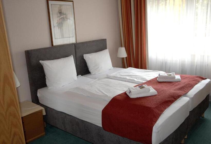 스탠다드 룸, Leo Muhlhausen