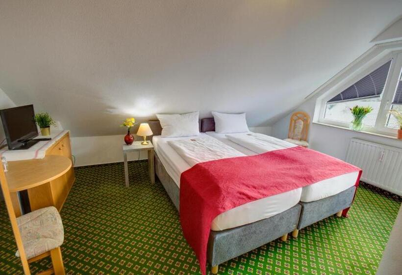 스탠다드 싱글 룸, Leo Muhlhausen