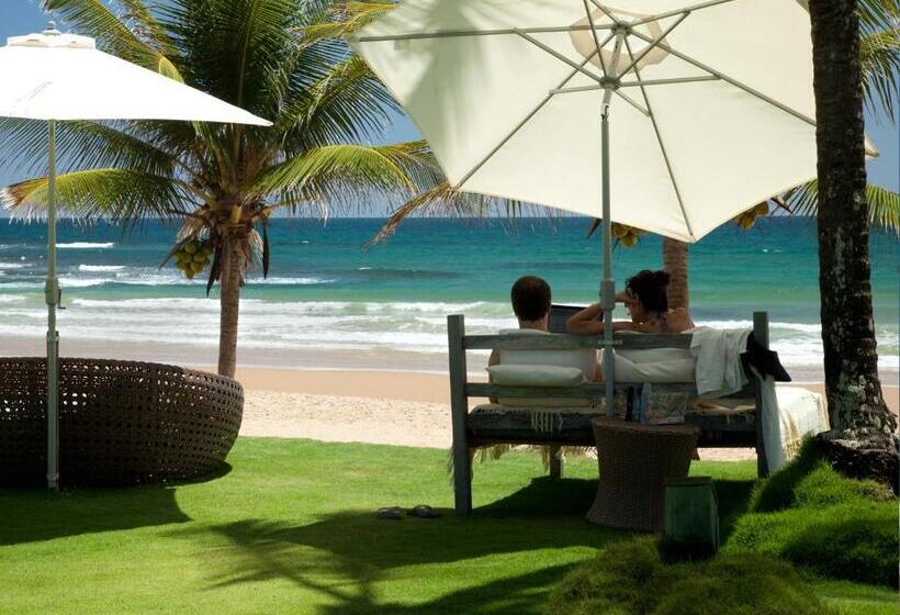 סוויטה דלוקס, Pousada Taipu De Fora