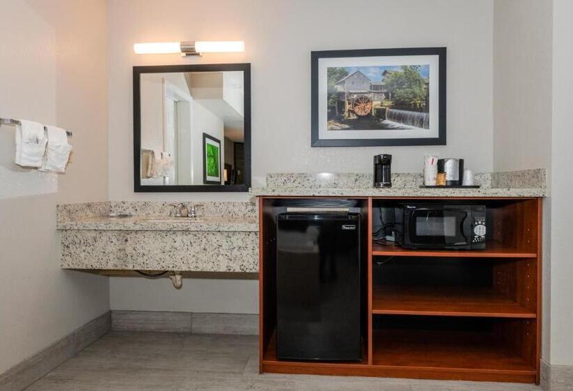 带大床的标准间, Twin Mountain Inn & Suites