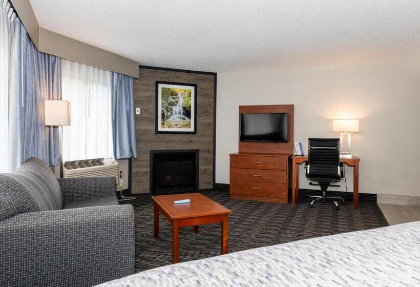 带大床的标准间, Twin Mountain Inn & Suites