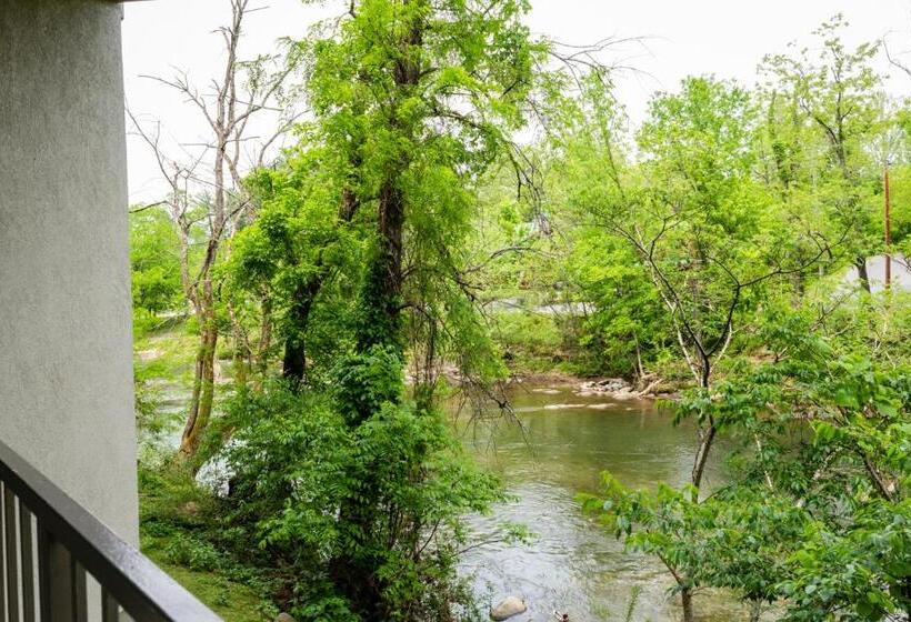 适合残疾人使用的标准间, Twin Mountain Inn & Suites