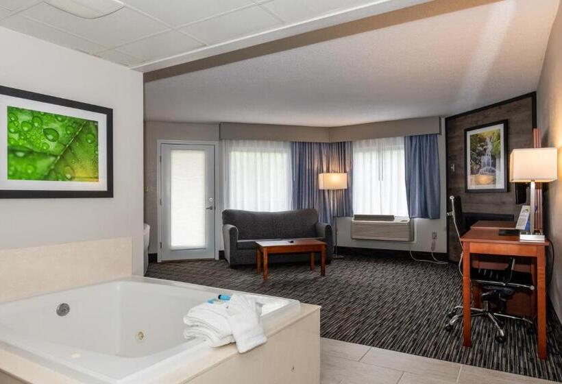 带大床的标准间, Twin Mountain Inn & Suites