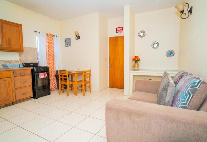 اتاق اکونومی, Connie's Comfort Suites