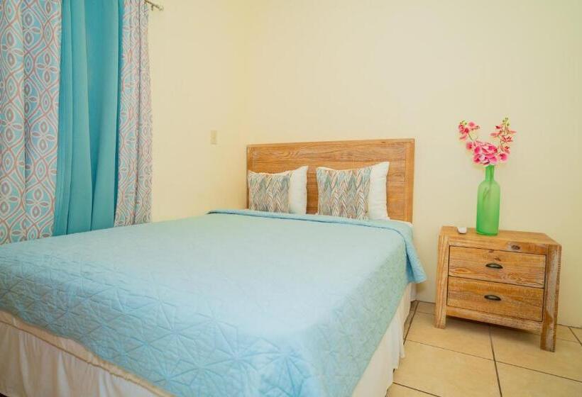 اتاق اکونومی, Connie's Comfort Suites