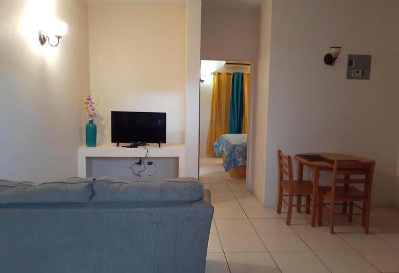 اتاق اکونومی, Connie's Comfort Suites