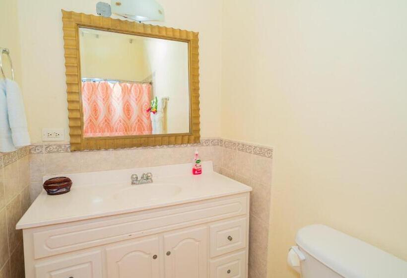 اتاق سوپریور, Connie's Comfort Suites