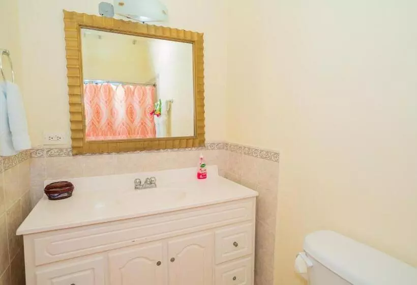 اتاق سوپریور, Connie's Comfort Suites