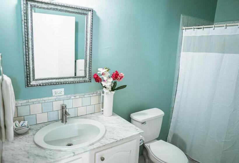 اتاق استاندارد با تراس, Connie's Comfort Suites