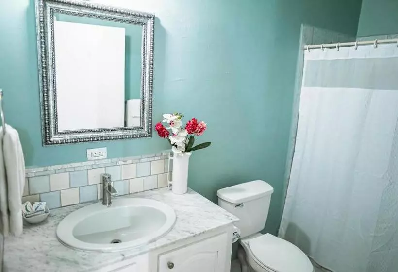 اتاق استاندارد با تراس, Connie's Comfort Suites