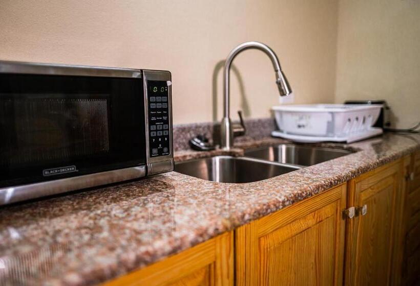 اتاق استاندارد با تراس, Connie's Comfort Suites