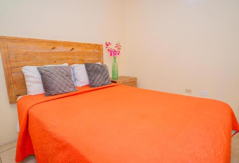 اتاق استاندارد با تراس, Connie's Comfort Suites