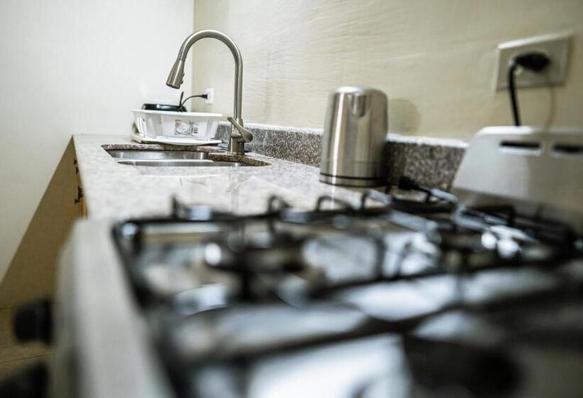 استودیو استاندارد با تراس, Connie's Comfort Suites