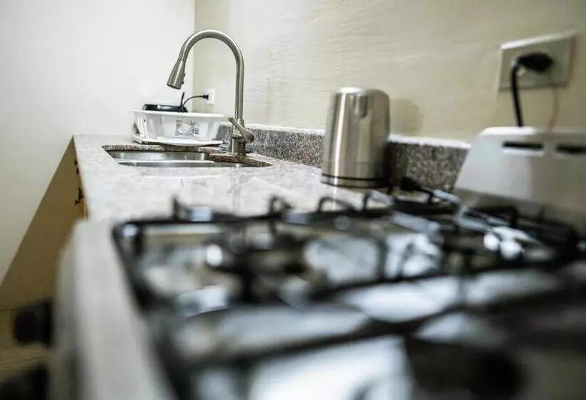 استودیو استاندارد با تراس, Connie's Comfort Suites
