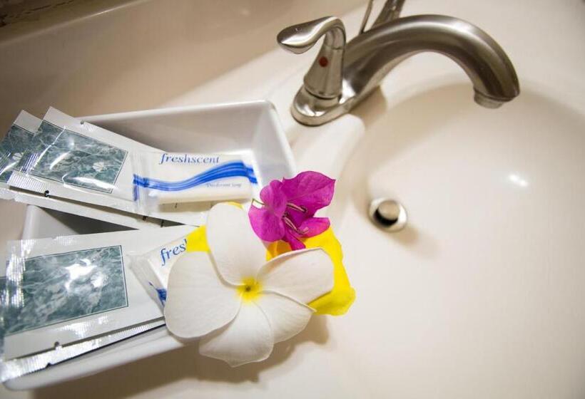 اتاق استاندارد با تخت بزرگ, Connie's Comfort Suites