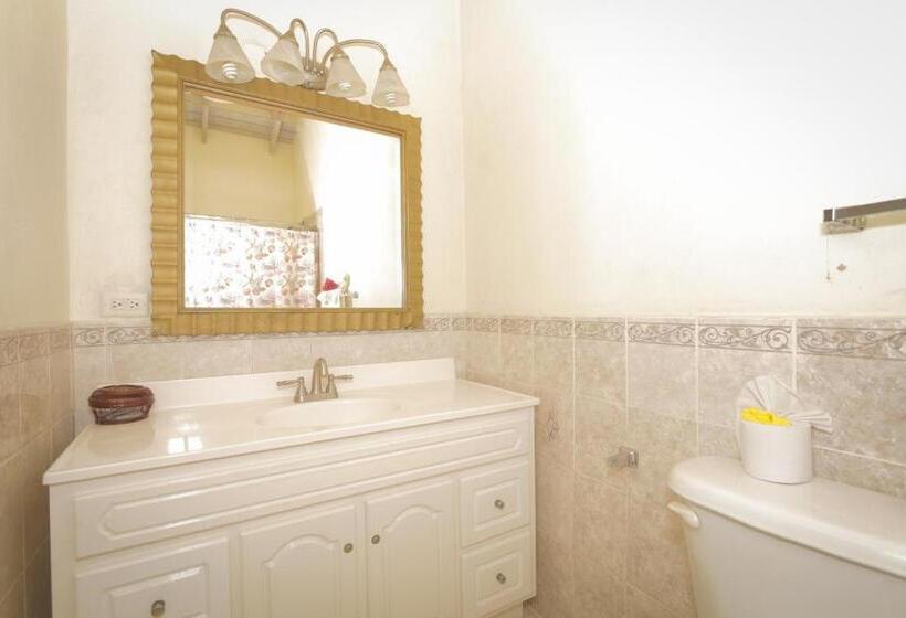 اتاق استاندارد با تخت بزرگ, Connie's Comfort Suites