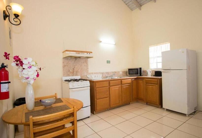 اتاق استاندارد با تخت بزرگ, Connie's Comfort Suites