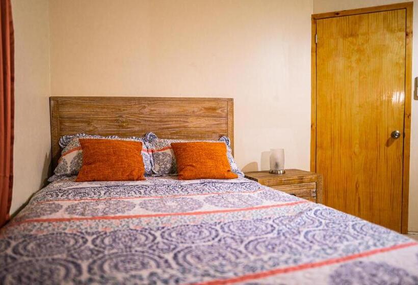 اتاق لوکس, Connie's Comfort Suites