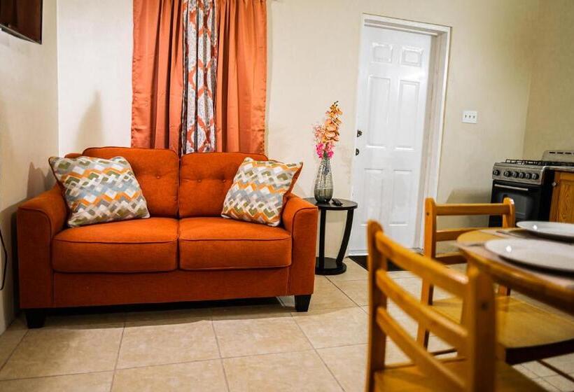 اتاق لوکس, Connie's Comfort Suites