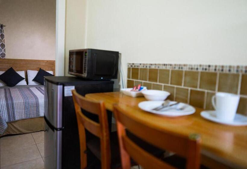 آپارتمان 1 خوابه با تراس, Connie's Comfort Suites