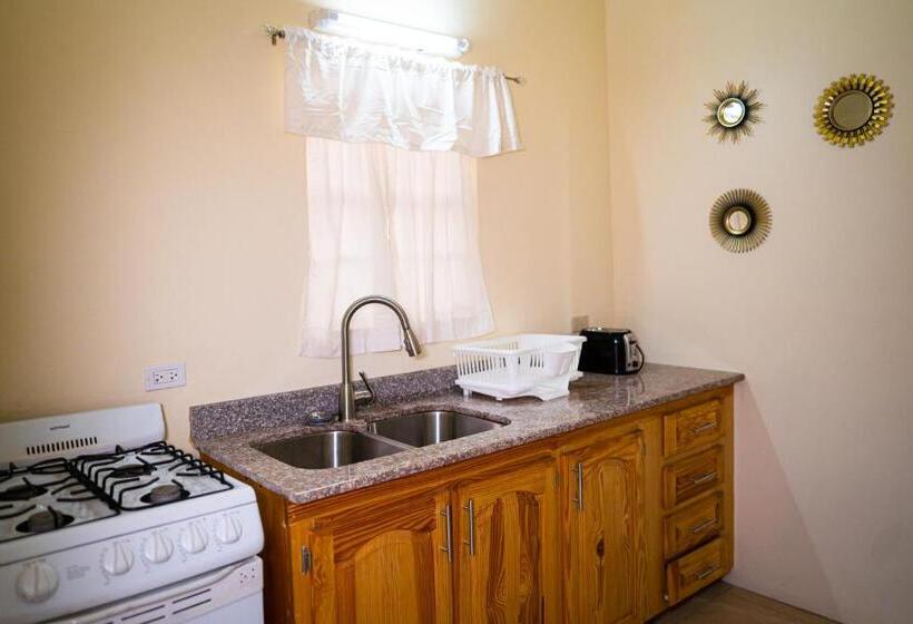 آپارتمان 1 خوابه با تراس, Connie's Comfort Suites