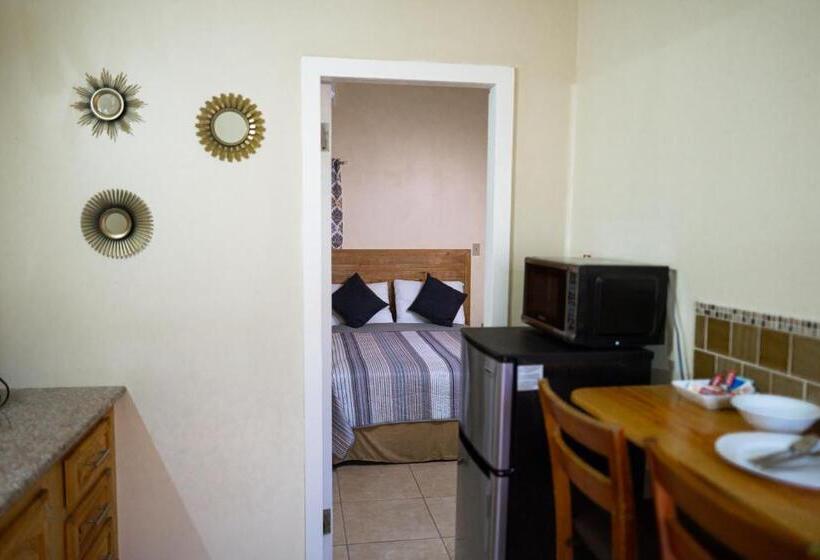 آپارتمان 1 خوابه با تراس, Connie's Comfort Suites