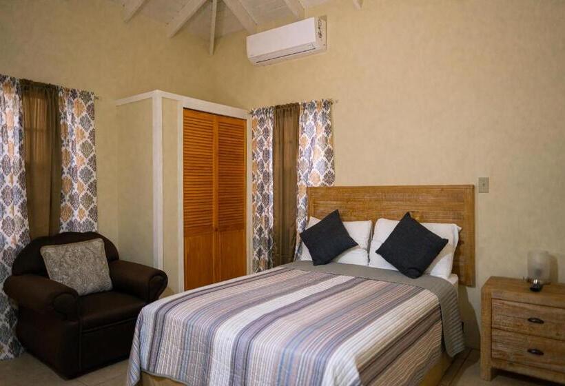 آپارتمان 1 خوابه با تراس, Connie's Comfort Suites