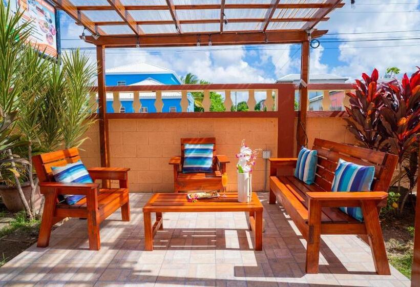 آپارتمان 1 خوابه با تراس, Connie's Comfort Suites