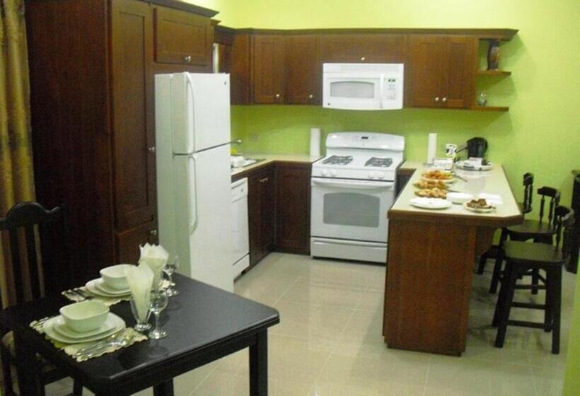 带1个卧室的公寓, Piarco Village Suites