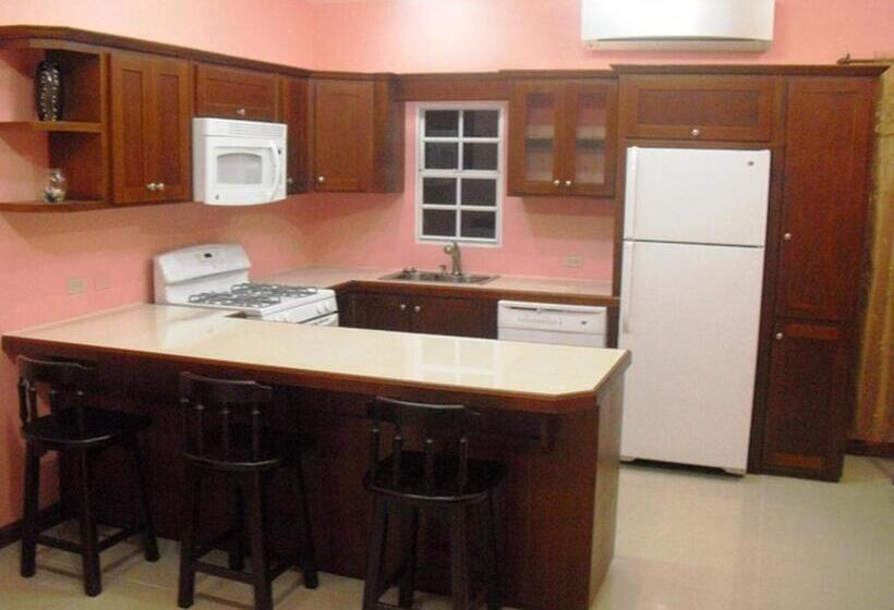 带1个卧室的公寓, Piarco Village Suites